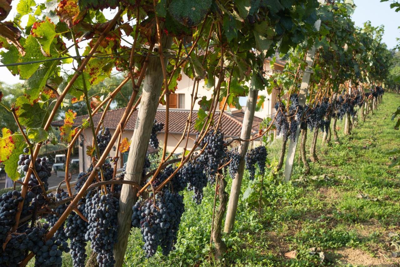 Al-colle * Sotto il Monte